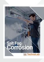 salt fog corrosion brochure